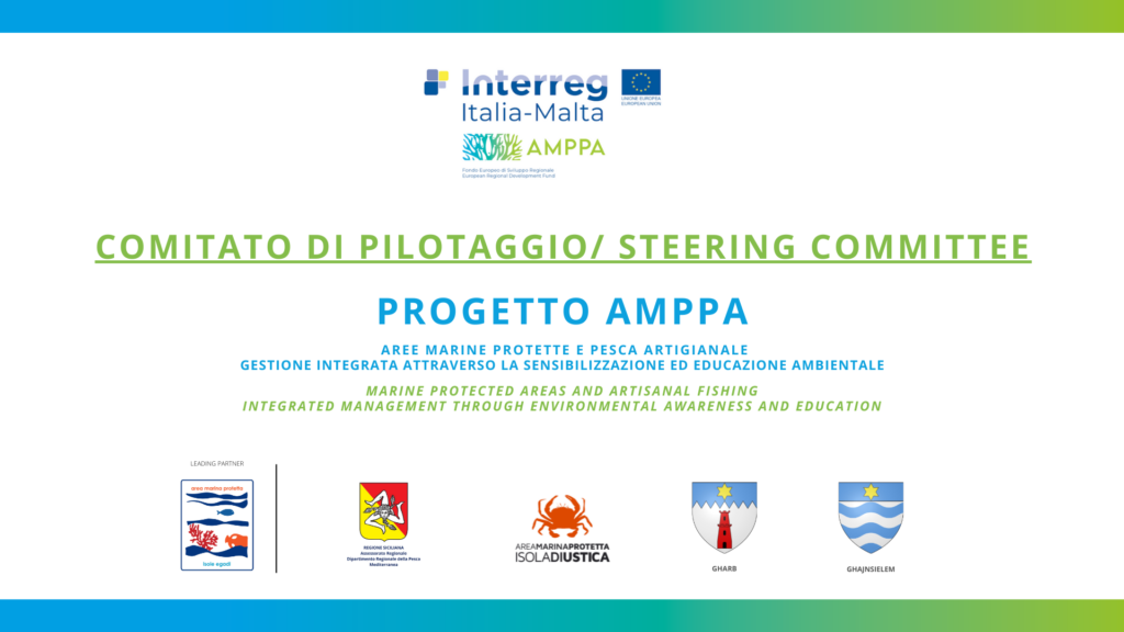 comitato di pilotaggio Steering CommitteE